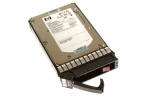 432146-001 - 300.0GB Serial Attached Scsi (SAS) HOT-PLUG Hard Drive